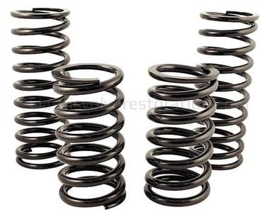 Lowering Spring Kit Linear AZ/P1800