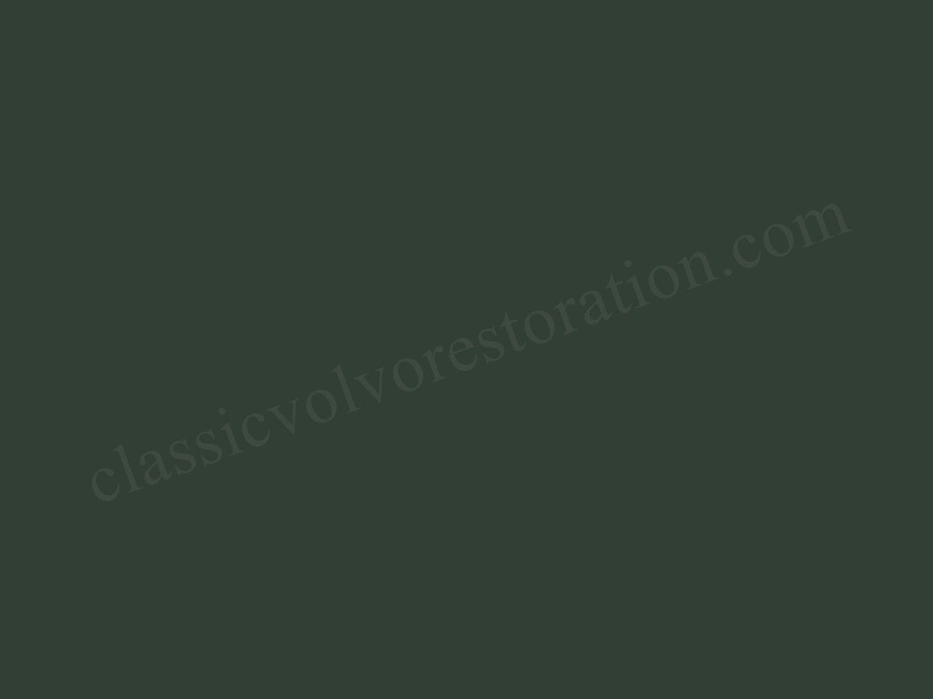 Paint 94 Dark green, spray