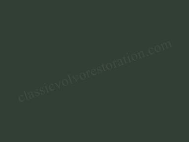 Paint 94 Dark green, spray
